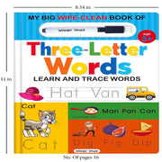 My Big Wipe Clean Book