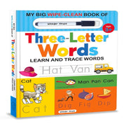 My Big Wipe Clean Book