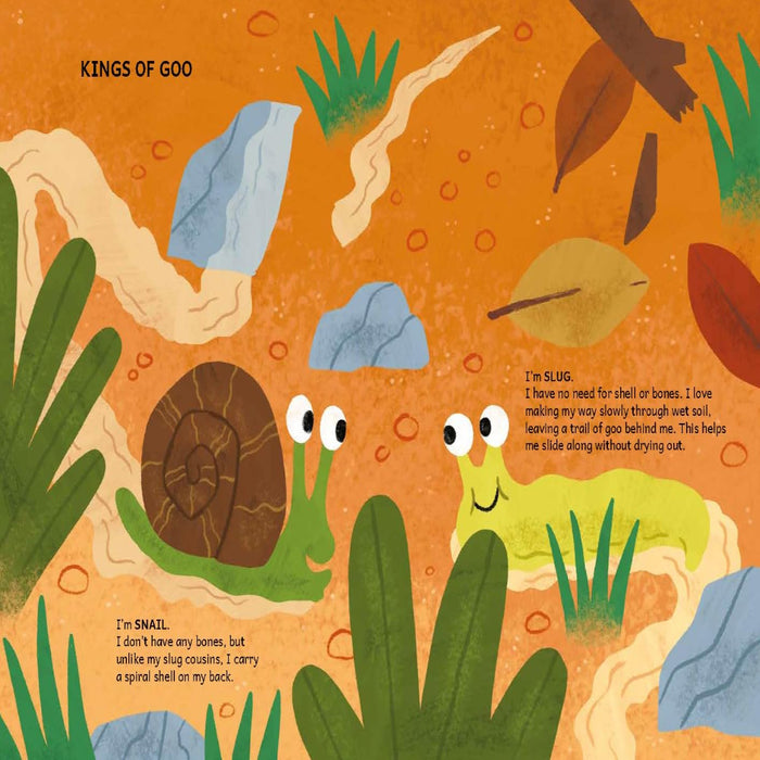 My Buzzing Sneak-A-Peek Book-Picture Book-Toycra Books-Toycra