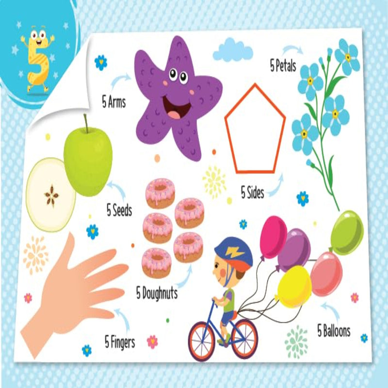 My First 100 Board Books-Board Book-Booktopus-Toycra