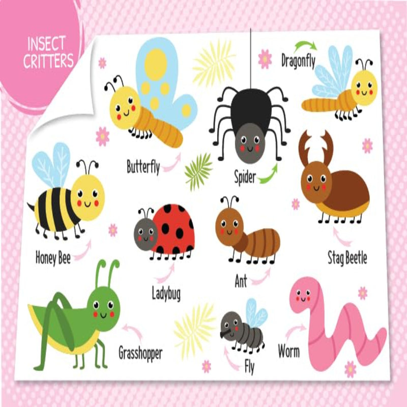 My First 100 Board Books-Board Book-Booktopus-Toycra