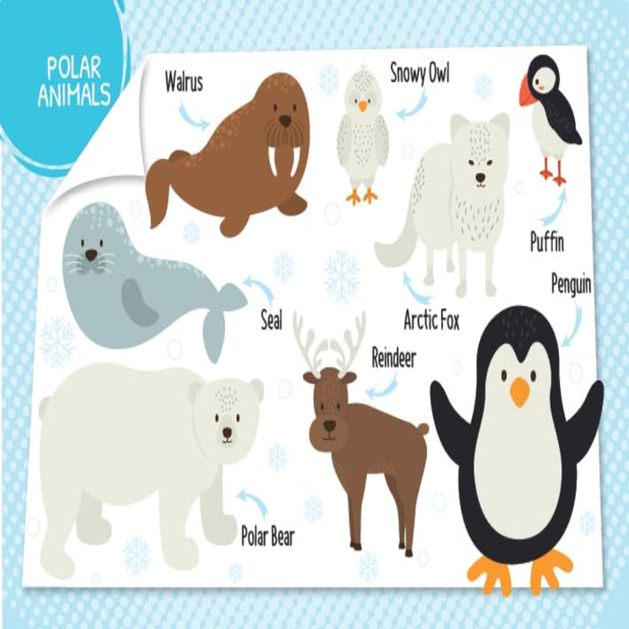 My First 100 Board Books-Board Book-Booktopus-Toycra