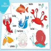 My First 100 Board Books-Board Book-Booktopus-Toycra