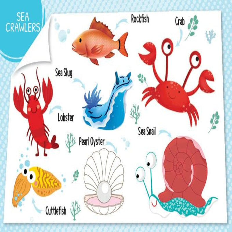 My First 100 Board Books-Board Book-Booktopus-Toycra