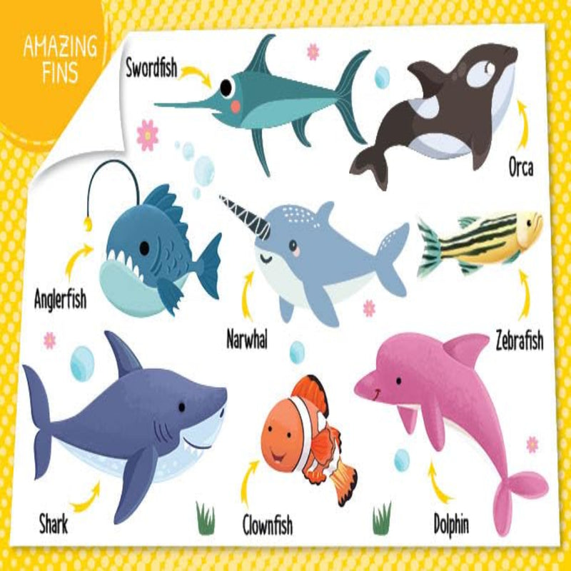 My First 100 Board Books-Board Book-Booktopus-Toycra