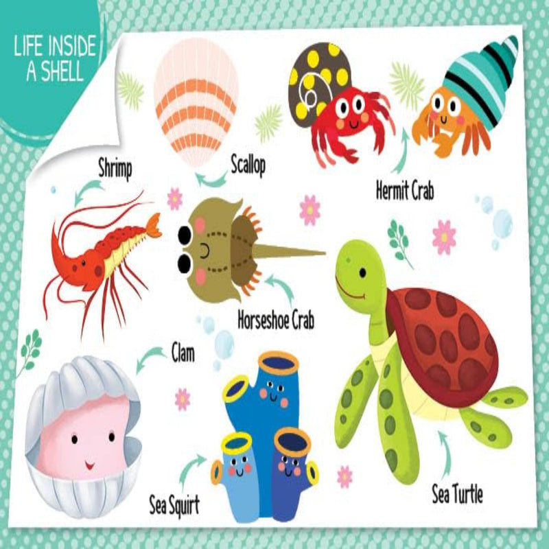 My First 100 Board Books-Board Book-Booktopus-Toycra