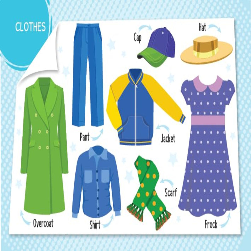 My First 100 Board Books-Board Book-Booktopus-Toycra