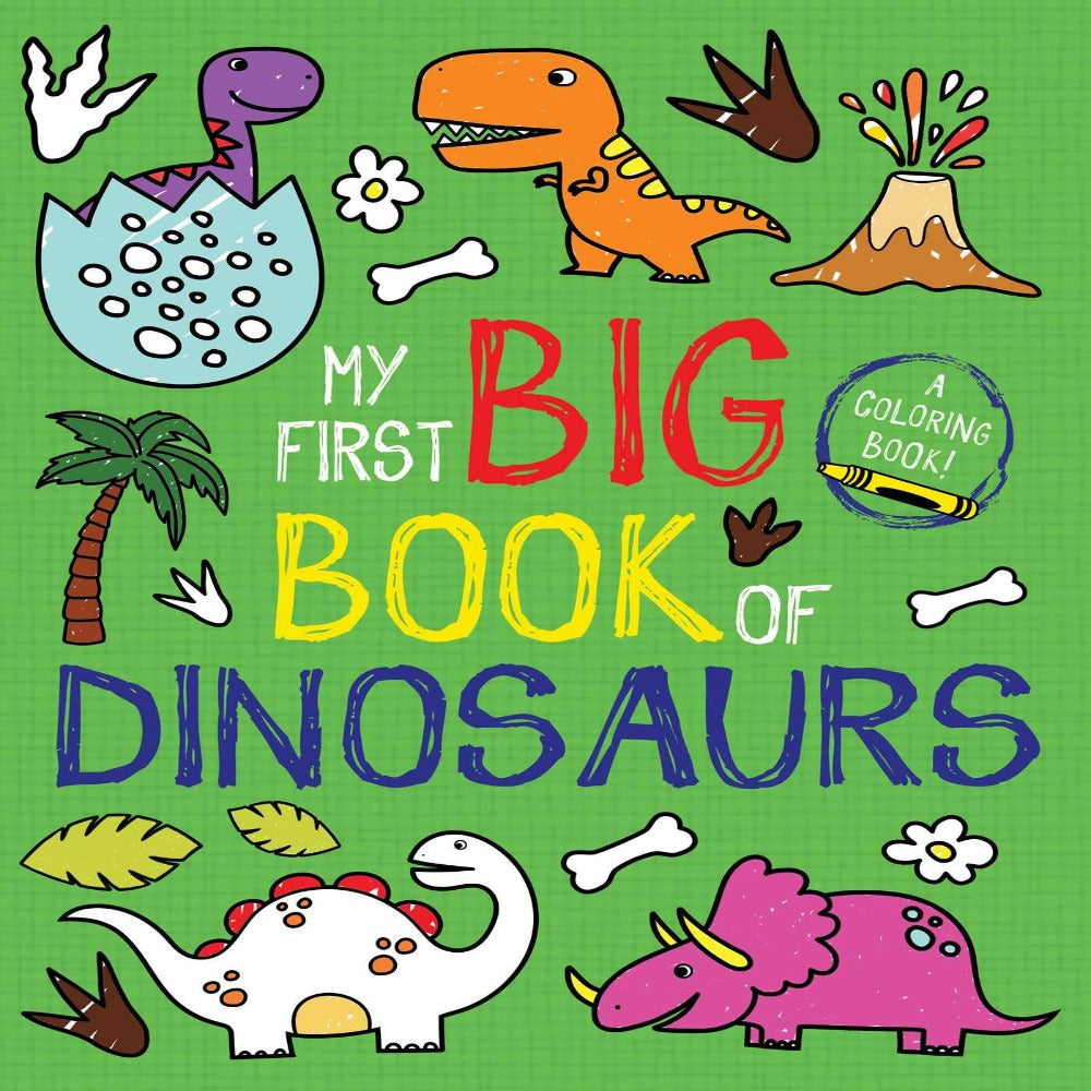 Big　—　Dinosaurs　Book　Of　First　My　Toycra