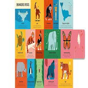 My First Book Of Everything Animals