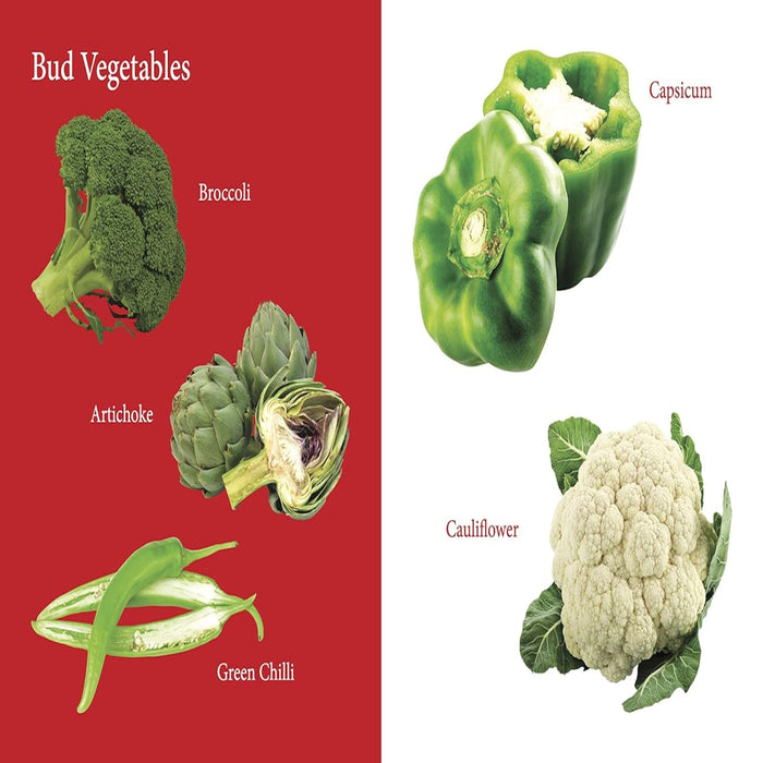 My First Book Of Vegetables-Board Book-Ok-Toycra