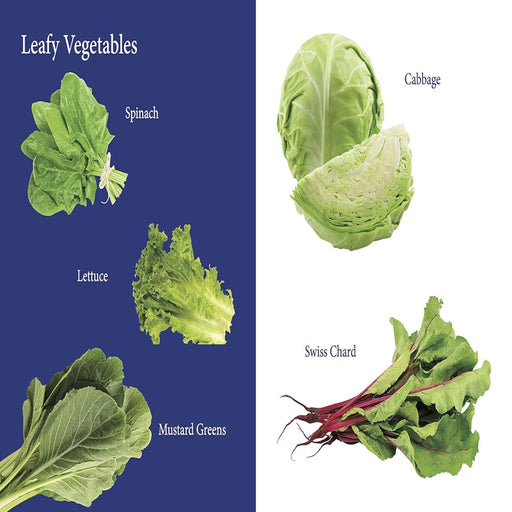 My First Book Of Vegetables