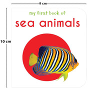 My First Library Books (Set Of 10 Books)