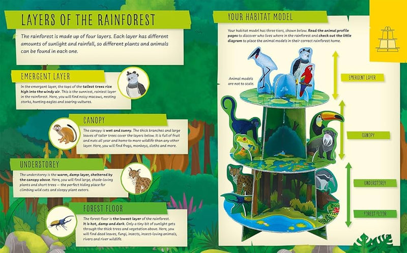 My Incredible Rainforest Expedition set (Book & Model)