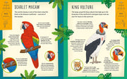 My Incredible Rainforest Expedition set (Book & Model)