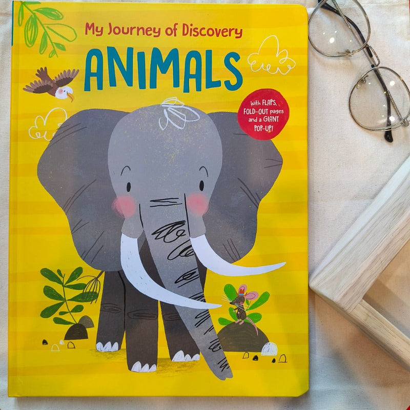 My Journey of Discovery