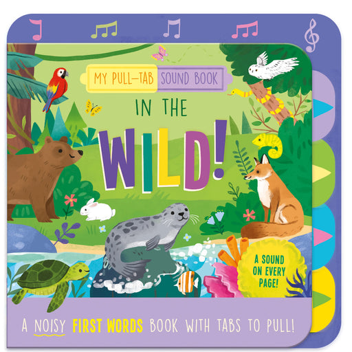 My Pull-Tab Sound Books