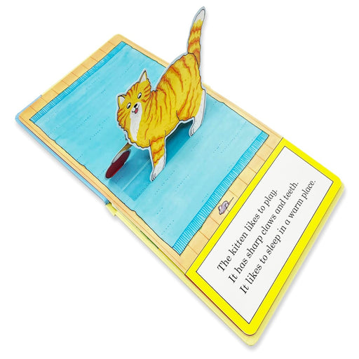 My Stand Up Pop-Up Board Books