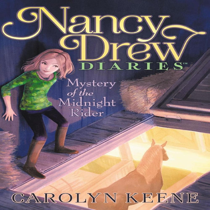 Nancy Drew Diaries-Story Books-SS-Toycra