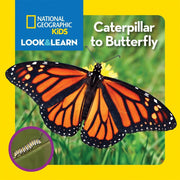 National Geographic Kids Look & Learn (Board Book)