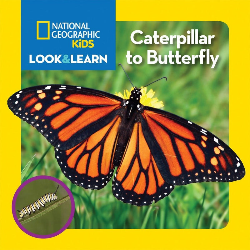 National Geographic Kids Look & Learn (Board Book)