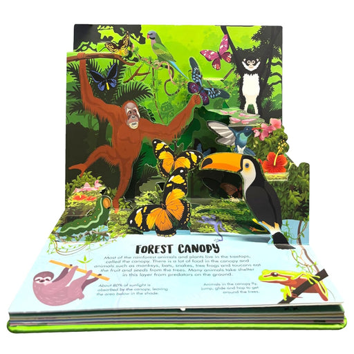Nature Pop-Up! Forest-Board Book-Ok-Toycra