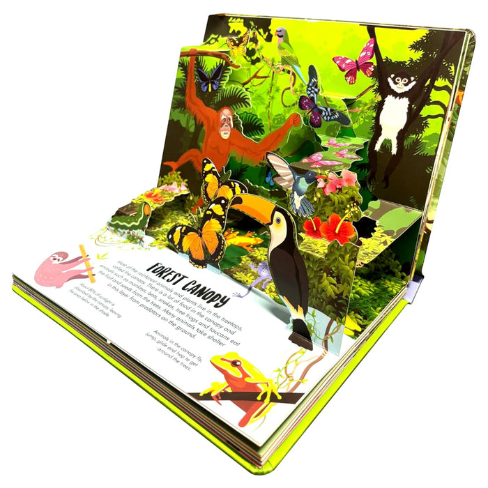 Nature Pop-Up! Forest-Board Book-Ok-Toycra