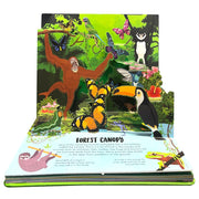 Nature Pop-Up! Forest