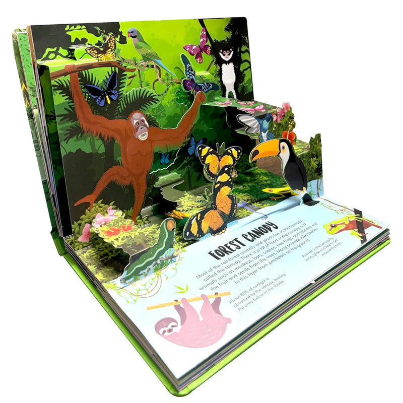 Nature Pop-Up! Forest