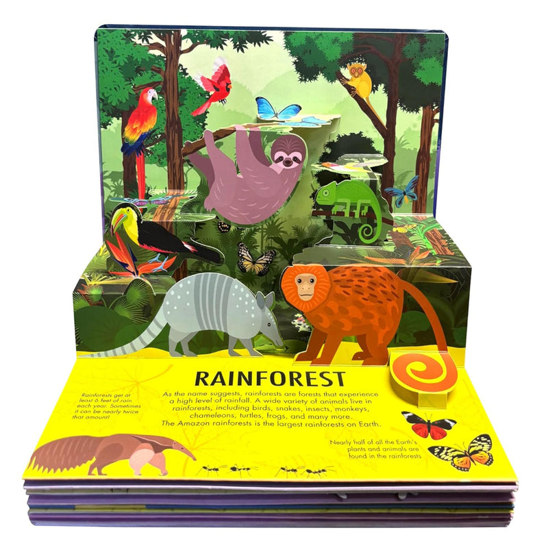 Nature Pop-Up! Forest