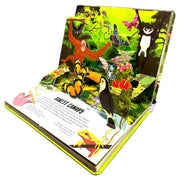 Nature Pop-Up! Forest