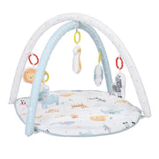 Nuluv Baby Play Gym