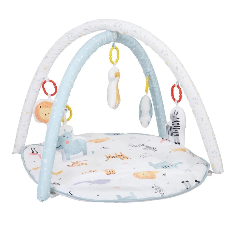 Nuluv Baby Play Gym