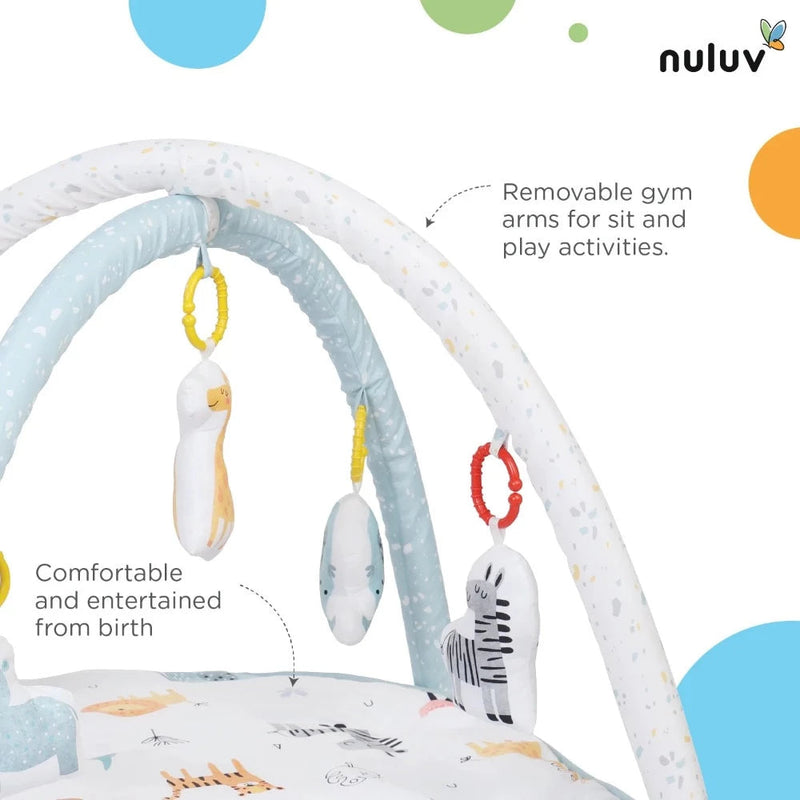 Nuluv Baby Play Gym