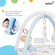 Nuluv Baby Play Gym
