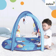 Nuluv Baby Play Gym