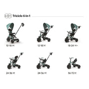 Nuluv Trikes Elite Platinum 6-in-1 Qplay