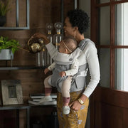 Nuna CUDL Carrier