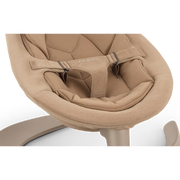 Nuna Leaf Grow Swing