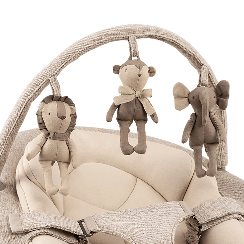 Nuna Leaf Grow Swing