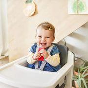 Nuna Zaaz High Chair