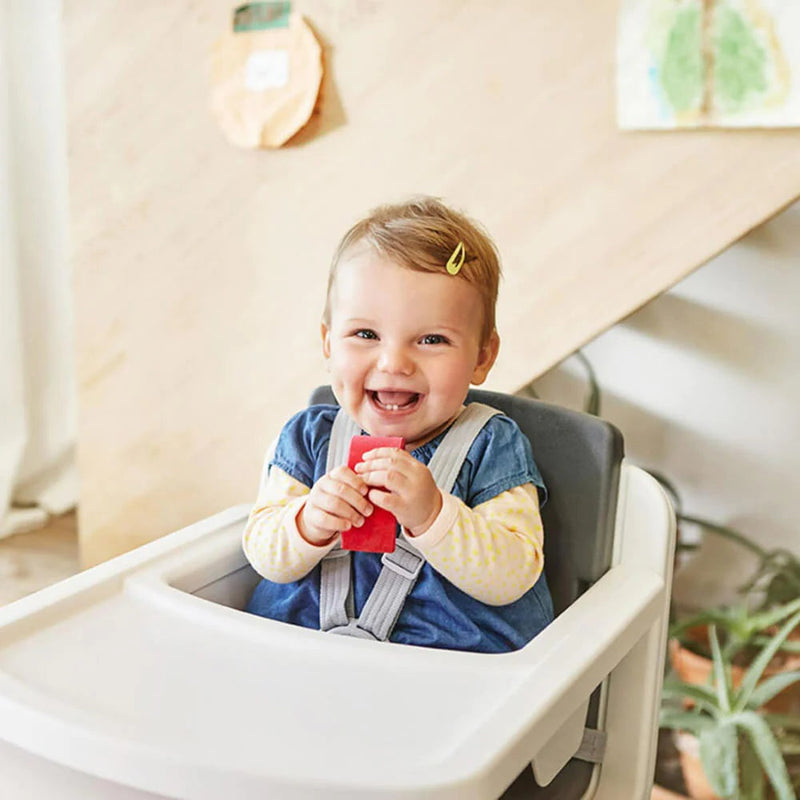 Nuna Zaaz High Chair