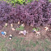 Open Ended Bendimals - Flexible Wooden Animals (Each Sold Separately)