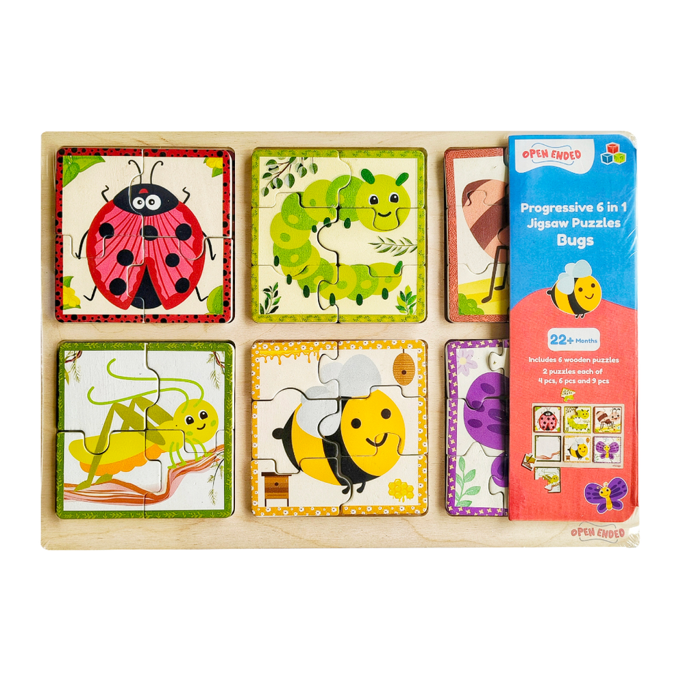 Open Ended Progressive 6 IN 1 Bug Puzzle — Toycra