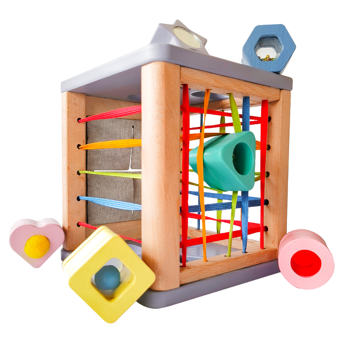 Open Ended Sensory Shape Sorter Toycra