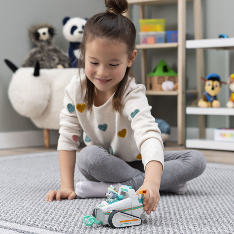 Paw Patrol Vehicle with Collectible Figure