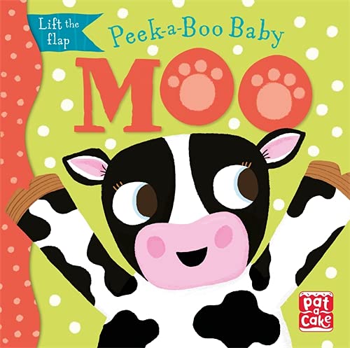 Peek-A-Boo Baby-Board Book-Hi-Toycra