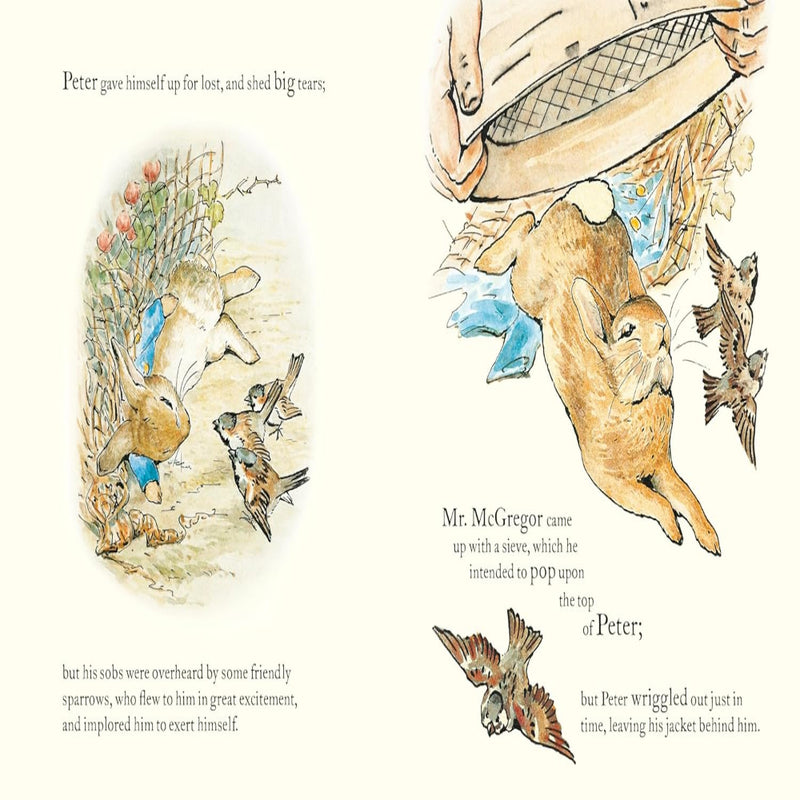 Peter Rabbit Book Book And Toy Gift Set