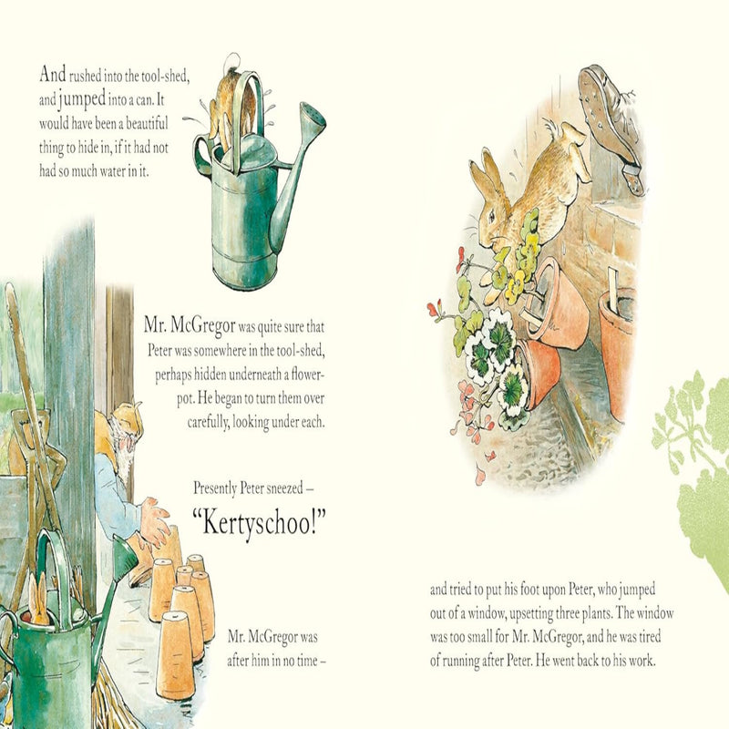 Peter Rabbit Book Book And Toy Gift Set