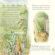 Peter Rabbit Book Book And Toy Gift Set