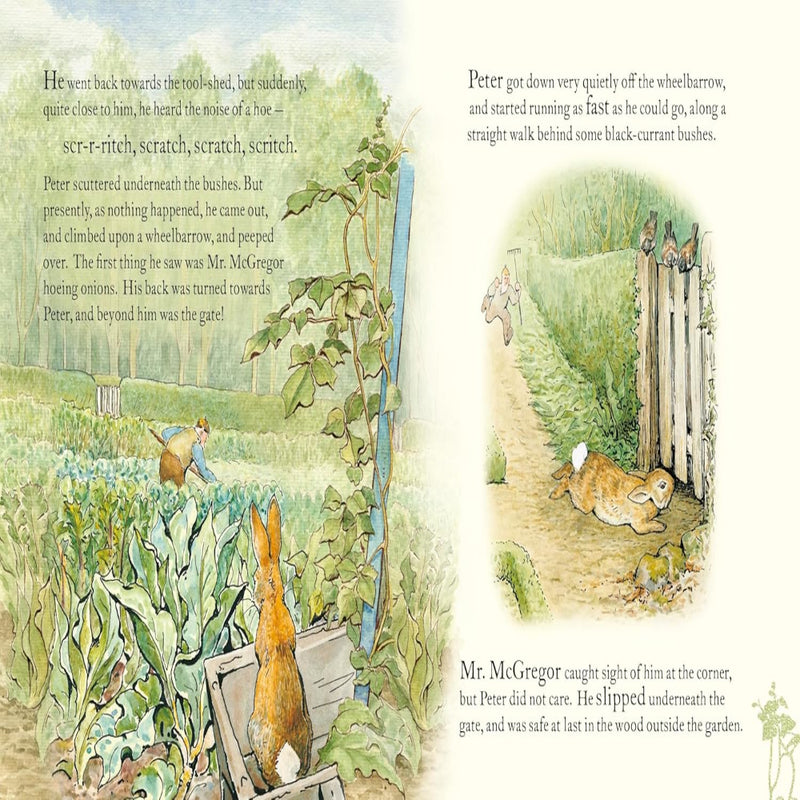 Peter Rabbit Book Book And Toy Gift Set